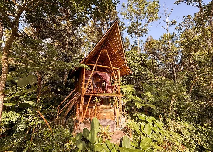 Alasari Hidden Bamboo Retreat In The Jungle *
