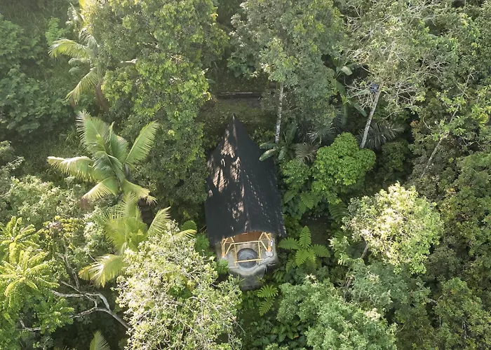 Alasari Hidden Bamboo Retreat In The Jungle Seribatu