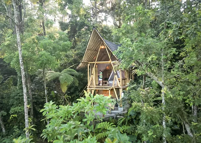 Alasari Hidden Bamboo Retreat In The Jungle *