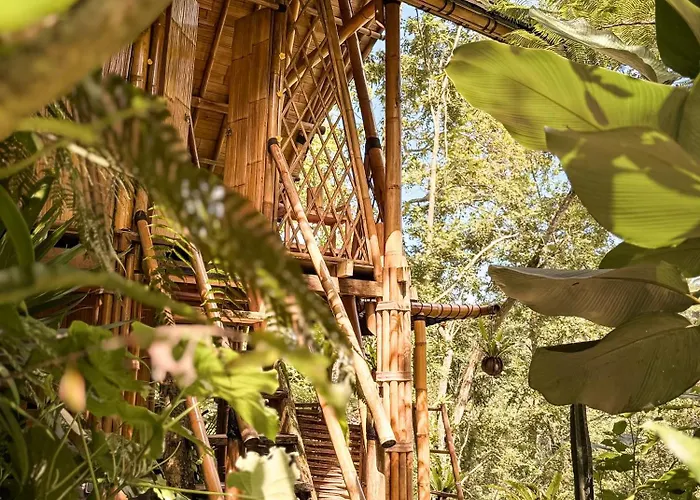 ロッジ Alasari Hidden Bamboo Retreat In The Jungle