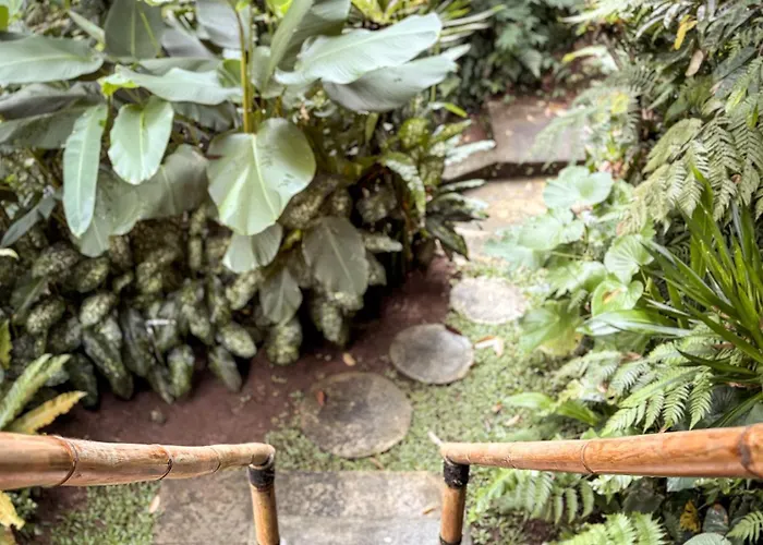ロッジ Alasari Hidden Bamboo Retreat In The Jungle