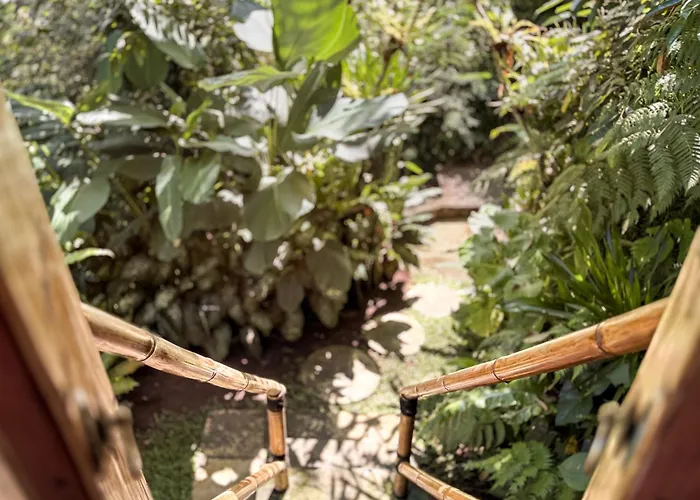 ロッジ Alasari Hidden Bamboo Retreat In The Jungle *