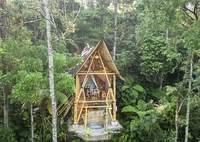 Alasari Hidden Bamboo Retreat In The Jungle Seribatu